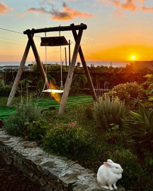 サンタ・クルス・ダス・フローレスCasas Da Quintaアパートメント エクステリア 写真